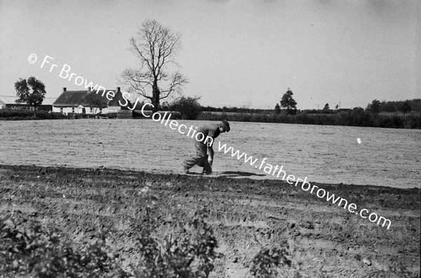 MR SCULLY OF COOLAGH (ON PORTARLINGTON TO EMO ROAD) PLOUGHING